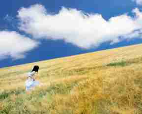 挖‌掘‍ 数‍据‍